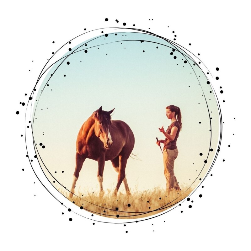 Dárkový poukaz KOŇSKÁ ZAHRADA